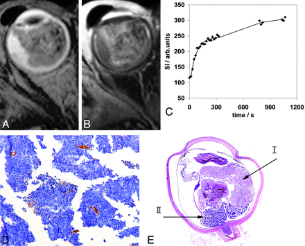 Fig 3.
