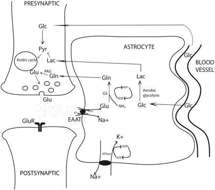 Fig 1.