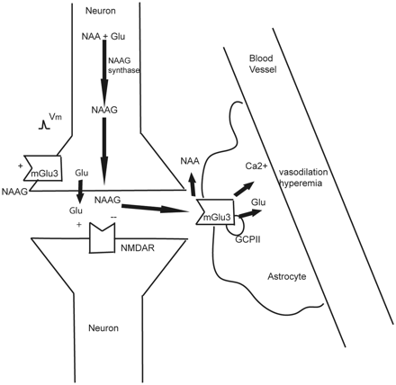 Fig 3.