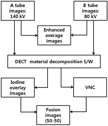Fig 1.