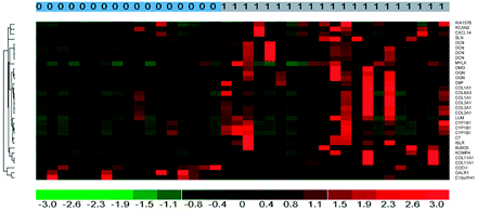 Fig 2.