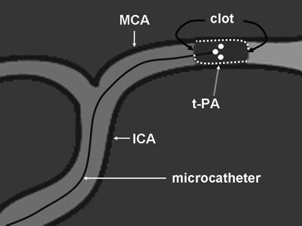 Fig 1.