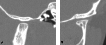Fig 7.