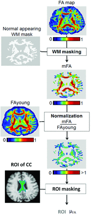 Fig 1.