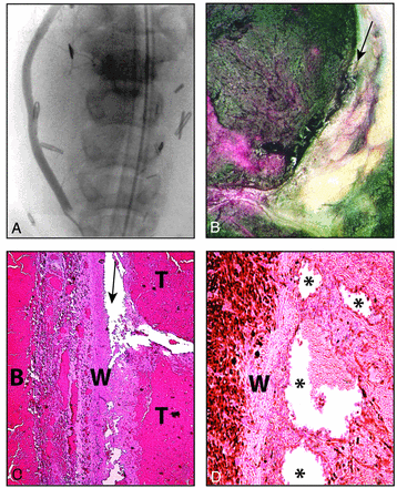 Fig 5.
