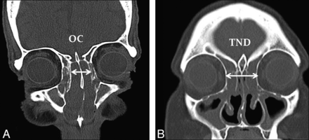 Fig 2.