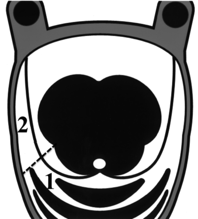 Fig 1.