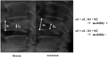 Fig 1.
