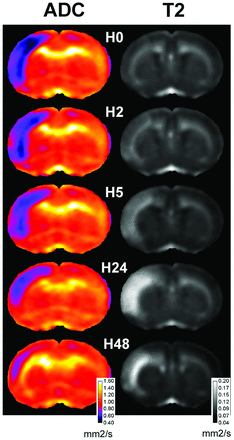 Fig 1.