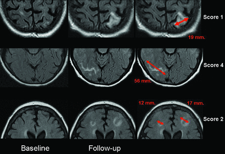 Fig 1.