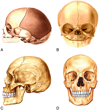 Fig 11.