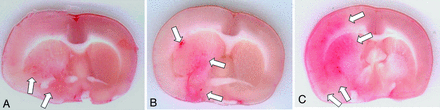 Fig 3.