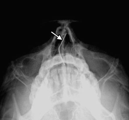 Fig 14.