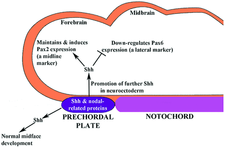 Fig 1.