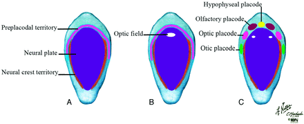 Fig 5.
