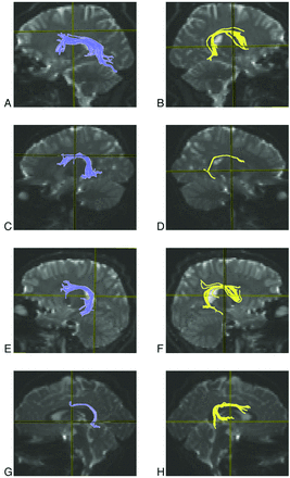 Fig 1.