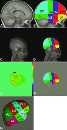 Fig 1.