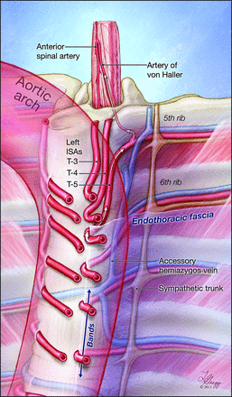 Fig 6.
