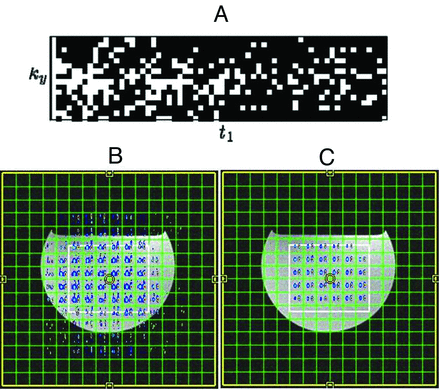 Fig 1.