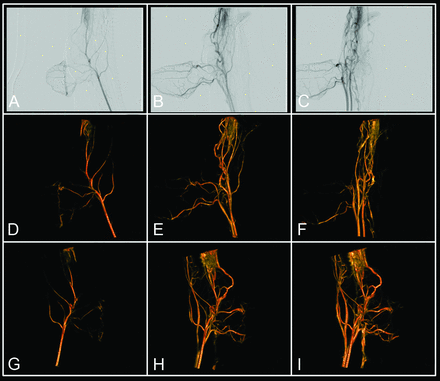 Fig 2.