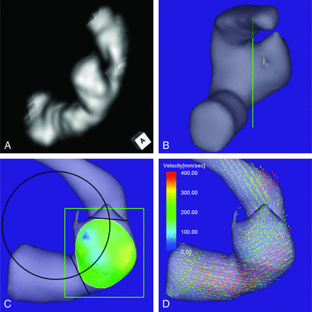 Fig 3.