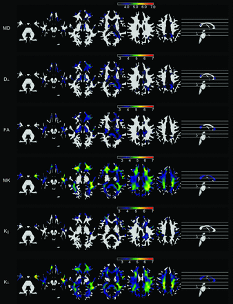 Fig 2.