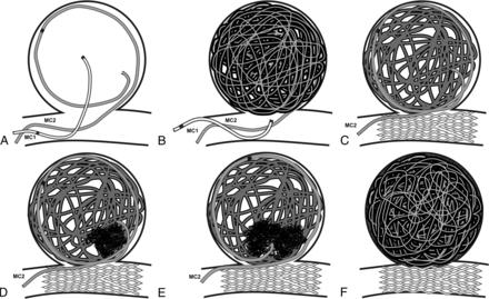 Fig 1.