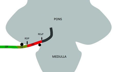 Fig 2.