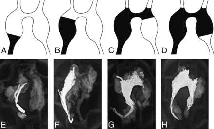 Fig 1.