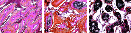 Fig 2.