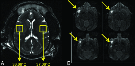 Fig 7.