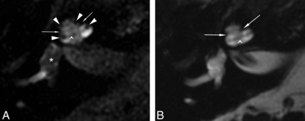 Fig 1.