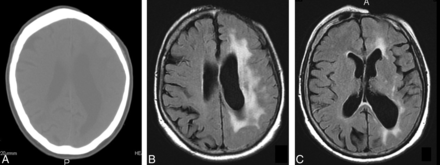 Fig 7.