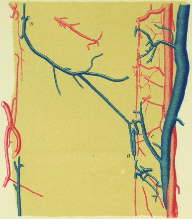 Fig 10.
