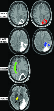 Fig 1.
