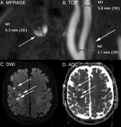 Fig 1.