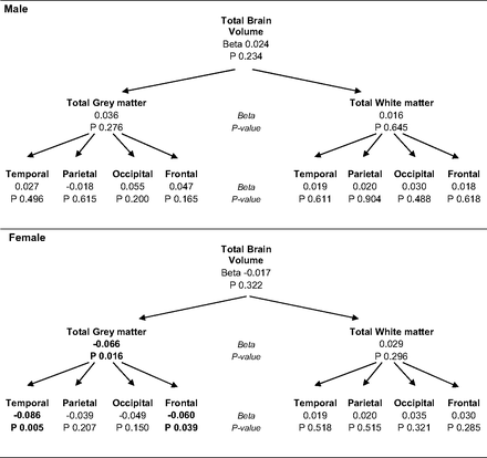 Fig 1.