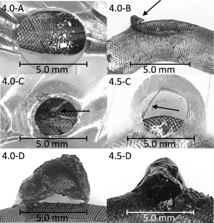 Fig 3.