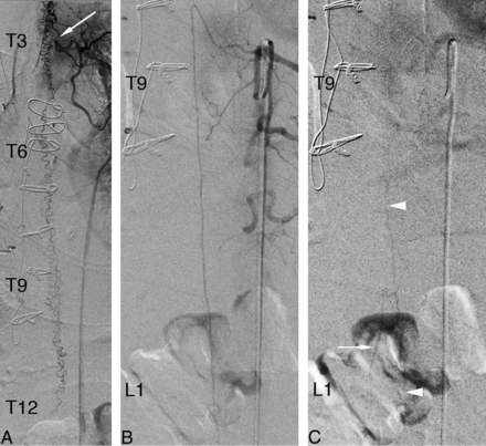 Fig 7.