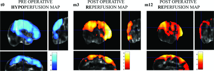 Fig 4.