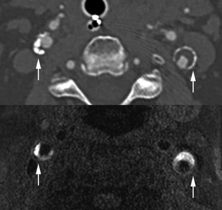 Fig 1.