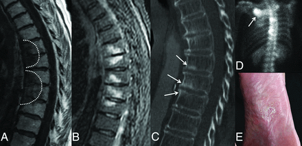 Fig 2.