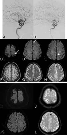 Fig 1.