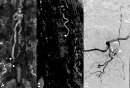 Fig 2.