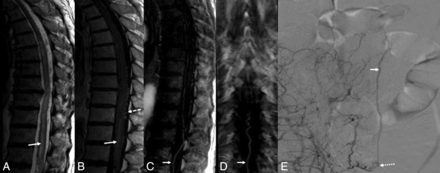 Fig 4.