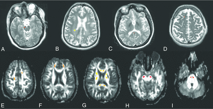 Fig 1.
