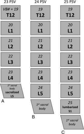 Fig 1.