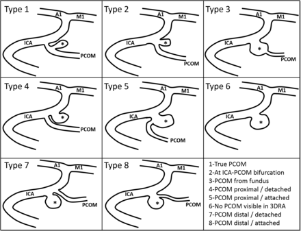 Fig 2.