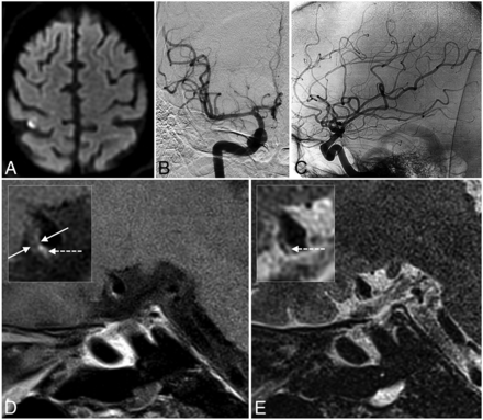 Fig 3.