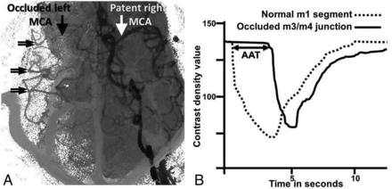 Fig 1.